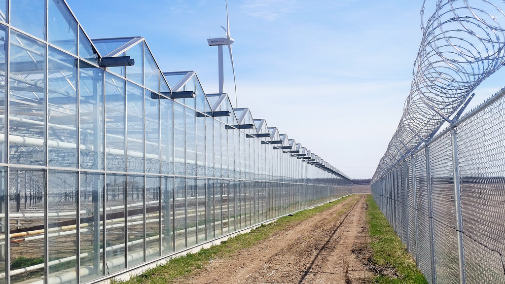 Medical Marijuana Inc (OTCMKTS:MJNA) Still Has Some Potential Upside