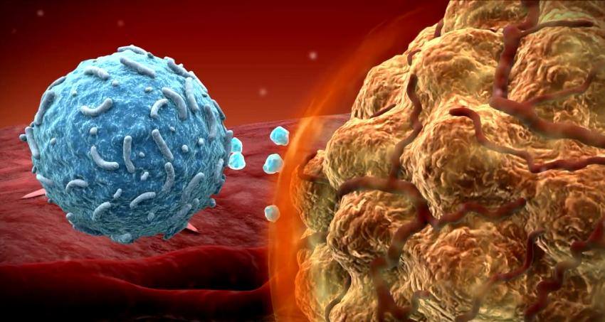 Cellceutix Corp (OTCMKTS:CTIX) Could Be In Line For A Big Pharma Partner