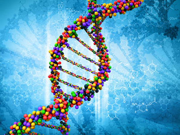 Transgenomic Inc (NASDAQ:TBIO) Is This Weeks Big Biotech Runner