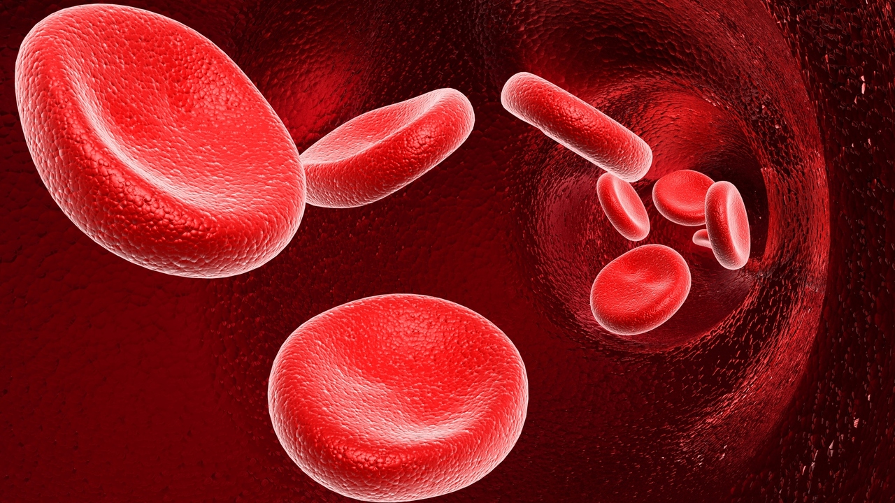 Cellectar Biosciences Inc (NASDAQ:CLRB) Still Has Plenty Of Run Room