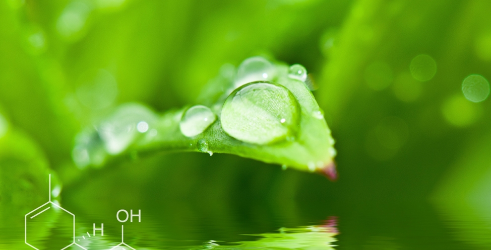 Here's What The Medical Marijuana Inc (OTCMKTS:MJNA) and Axim Biotechnologies Inc (OTCMKTS:AXIM) Announcement Means
