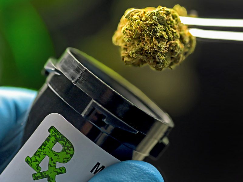 Cannabics Pharmaceuticals Inc (OTCMKTS:CNBX) Has A Big Few Months Ahead Of It