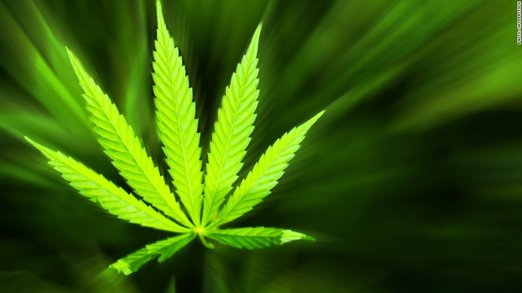 Growlife Inc (OTCMKTS:PHOT) Looking To Consolidate