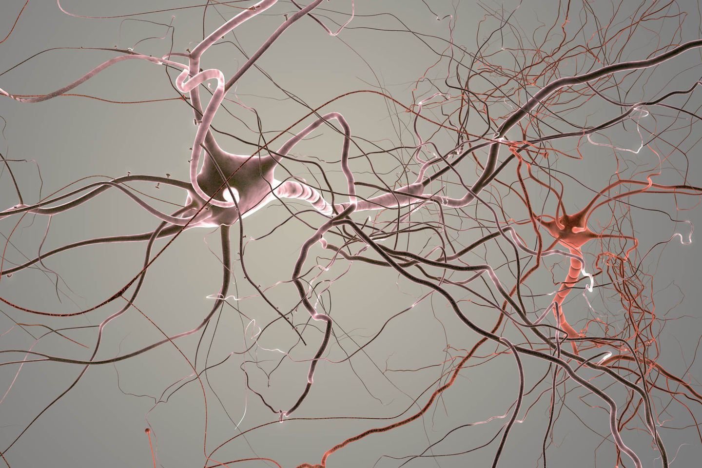 Endonovo Therapeutics Inc (OTCMKTS:ENDV) Should Run Further Near Term
