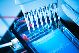 Not A Lot To Get Excited About PharmaCyte Biotech Inc (OTCMKTS:PMCB) Yet