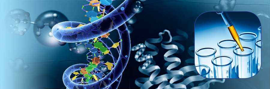 Premier Biomedical Inc (OTCMKTS:BIEI) Still Looking For Answers