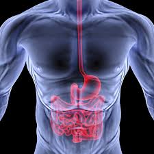 Solos Endoscopy Inc (OTCMKTS:SNDY) Gets A Pump