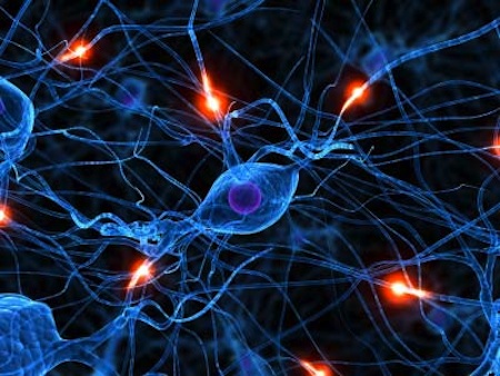 US Stem Cell Inc (OTCMKTS:USRM) Keeps Rising, Here's Why