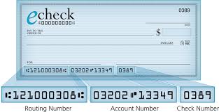 MyECheck Inc (OTCMKTS:MYEC) Remains Quiet