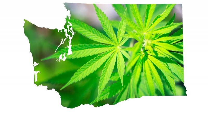 CGrowth Capital Inc (OTCMKTS:CGRA) Lights Up The Charts