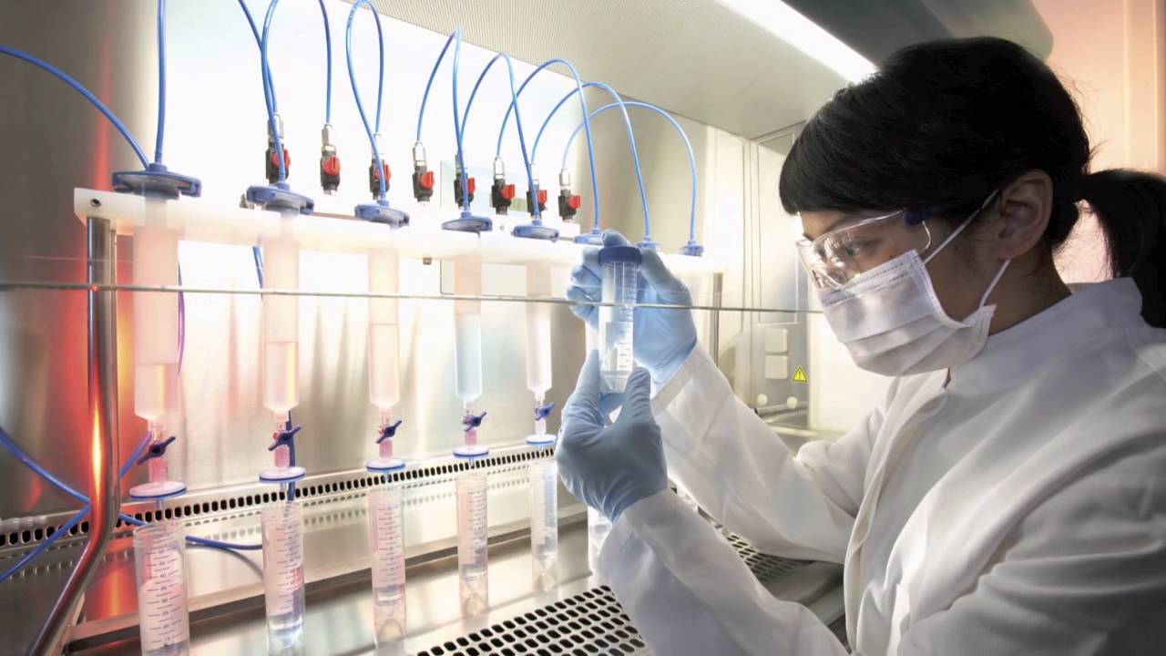 PharmaCyte Biotech Inc (OTCMKTS:PMCB) Attempting A Comeback