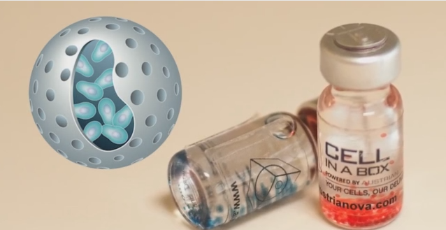 Pharmacyte Biotech Inc (OTCMKTS:PMCB): Upside Potential On A Phase 2 Catalyst