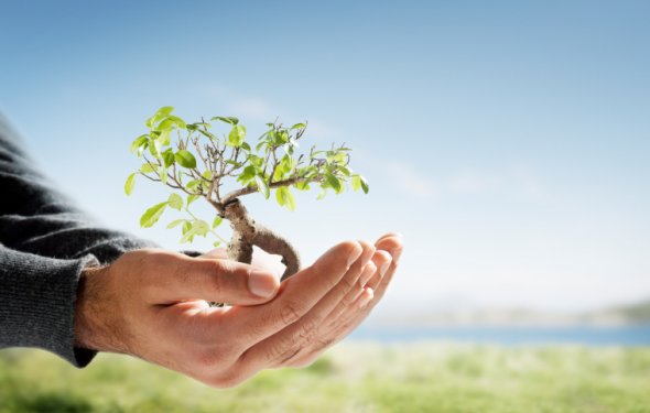 Is Amyris Inc (NASDAQ:AMRS) Finally Starting To Capitalize On Its Potential?