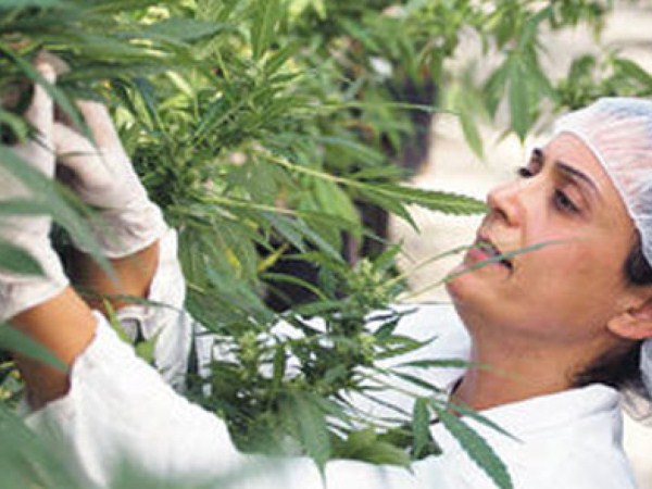 Axim Biotechnologies Inc (OTCMKTS:AXIM) Looks Well Supported To Capitalize On Further Upside Potential