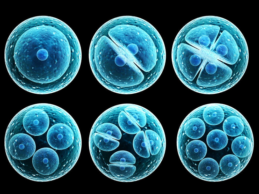Biotech Catalyst Play: BioTime, Inc. (NYSEMKT:BTX)