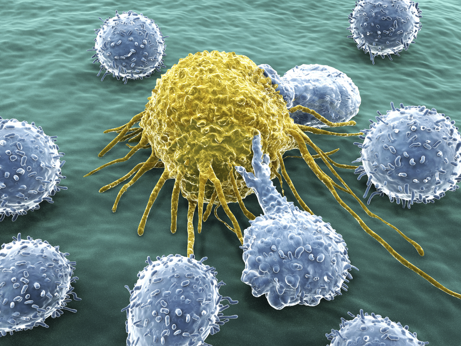 Markets Have Missed This Key Q BioMed Inc (OTCMKTS:QBIO) Update