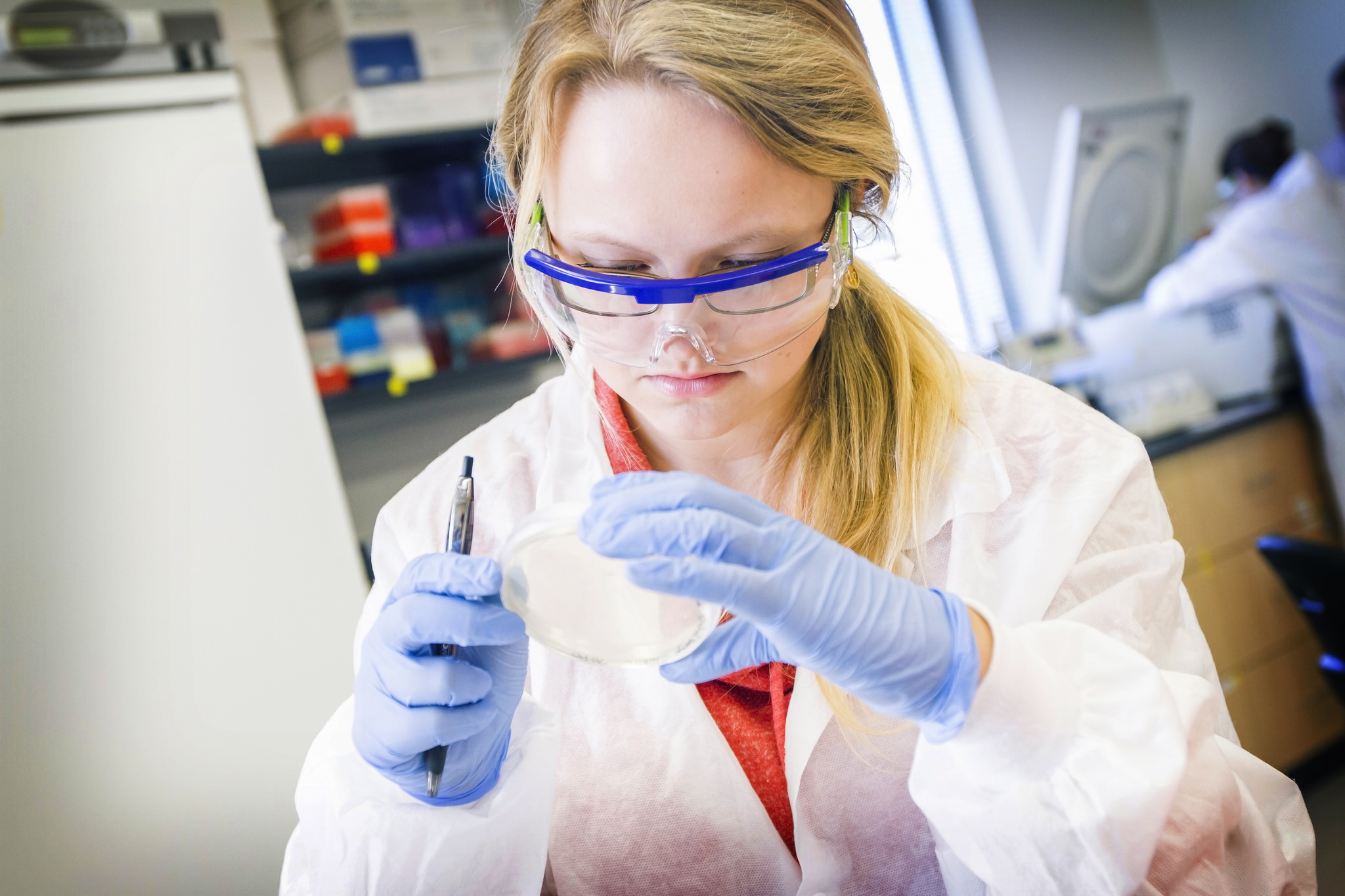 Invivo Therapeutics Holdings Corp (NASDAQ:NVIV) Is Today's Biotech Focus