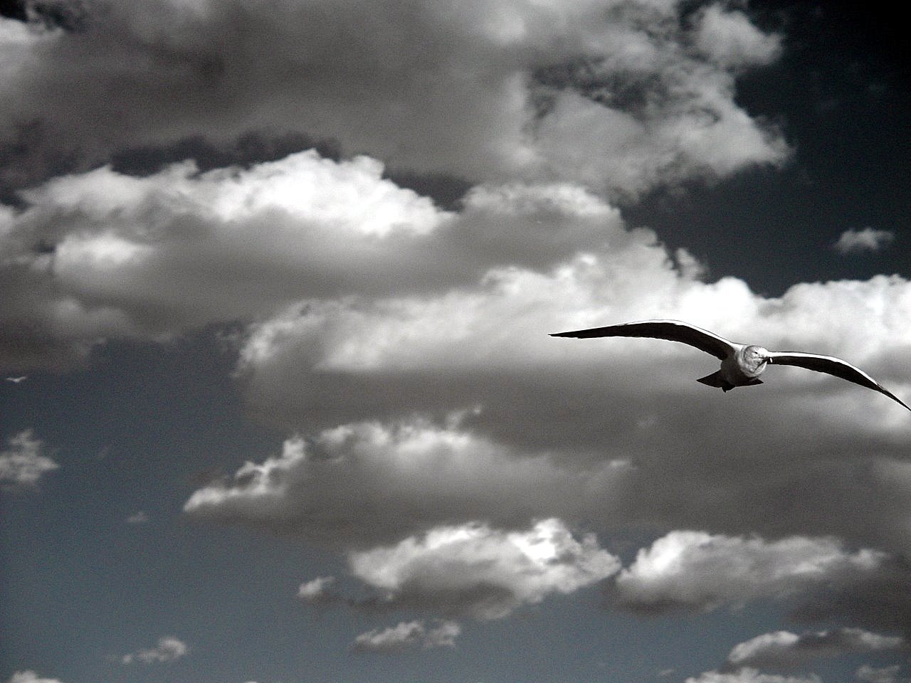 CV Sciences Inc (OTCMKTS:CVSI) Looking To Overcome Headwinds