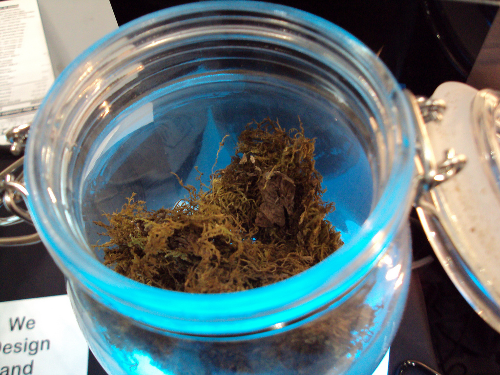 Kush Bottles Inc (OTCMKTS:KSHB) Expands To Meet Marijuana Industry Demand