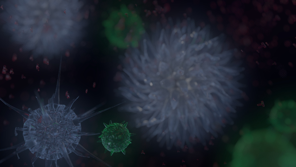 Novavax Inc (NASDAQ:NVAX) Is Finally Starting To Pay Off