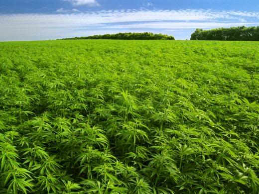 PAO GROUP INC COM USD0.001 (OTCMKTS:PAOG) Set To Fly Higher