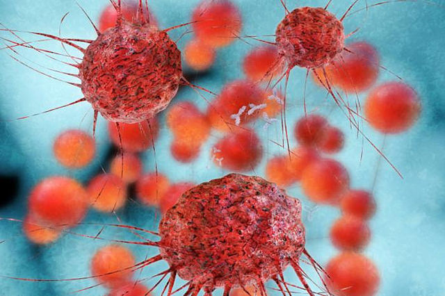 Here's What's Next From Provectus Biopharmaceuticals Inc (OTCMKTS:PVCT)