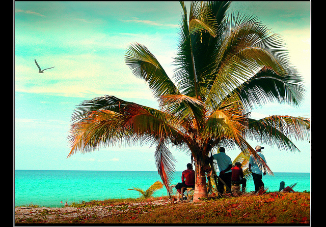 Telco Cuba Inc (OTCMKTS:QBAN) Rises Then Falls; What's Next?