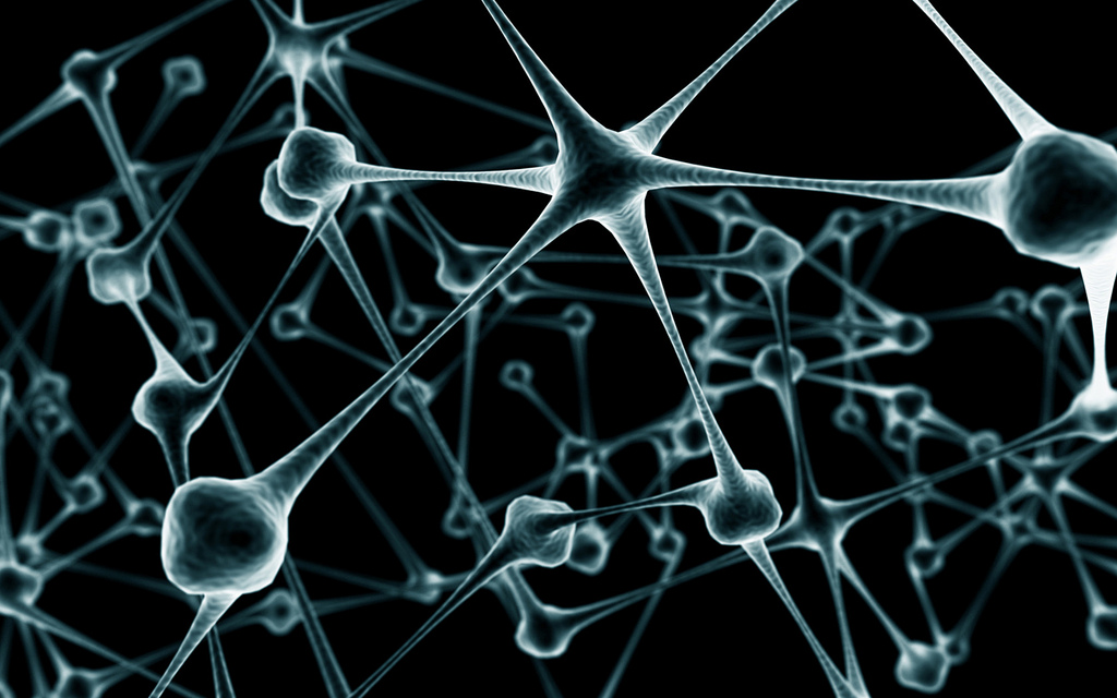 Moleculin Biotech Inc (NASDAQ:MBRX) Just Told Us What We Wanted To Hear