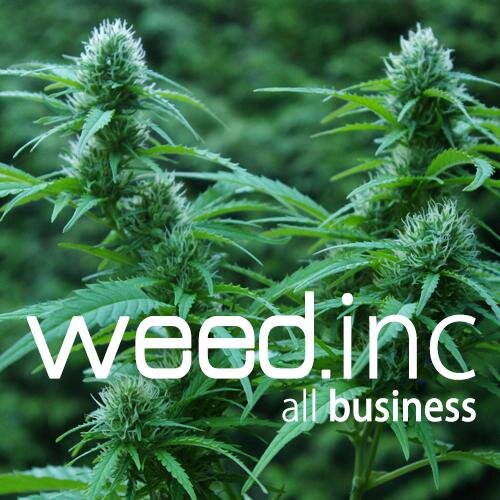Why You Should Take Weed Inc (OTCMKTS:BUDZ) Seriously