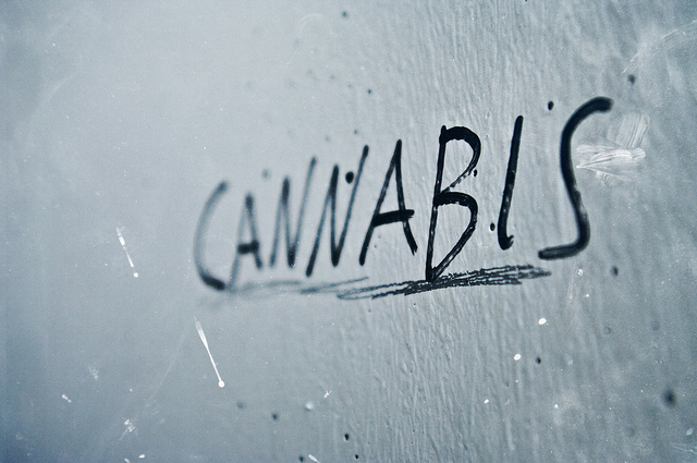 Lotus Bio-Technology Development Corp (OTCMKTS:LBTD) Getting Into The Cannabis Space
