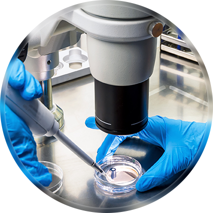GT BIOPHARMA INC (EPA:GTBP) Pioneering Research In The Medical Industry