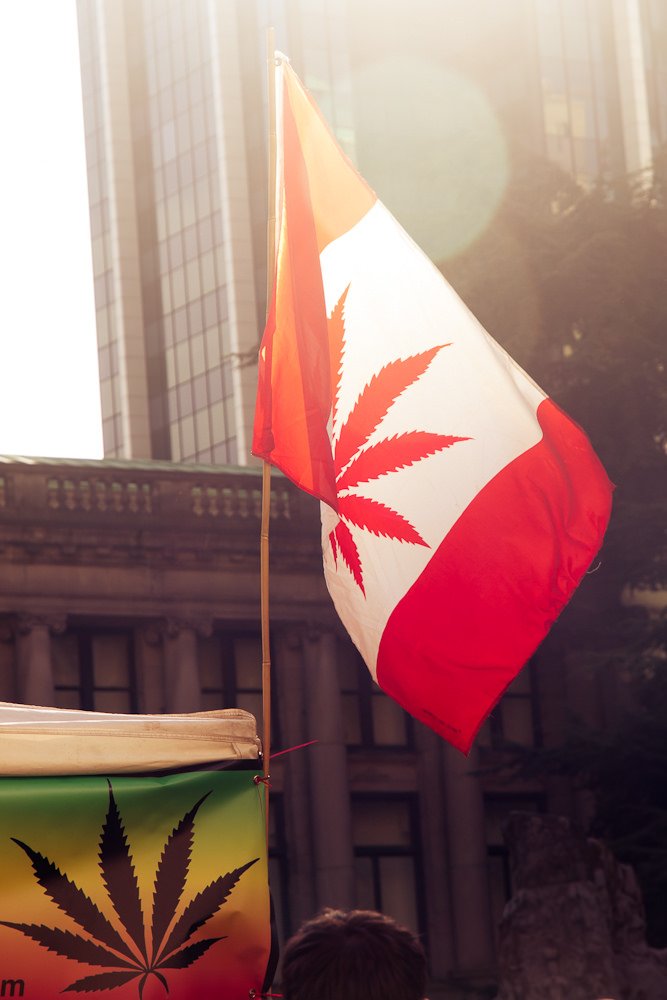 MEDRELEAF CORP COM NPV (OTCMKTS:MEDFF) Is A Marijuana Stock Runner