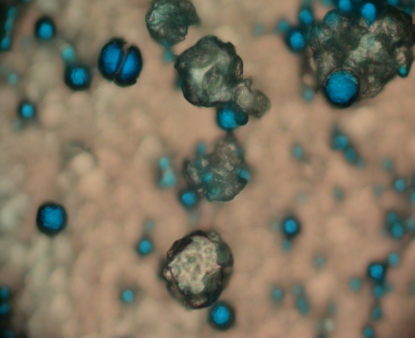 SpectraScience Inc (OTCMKTS:SCIE) Capturing Market Interest