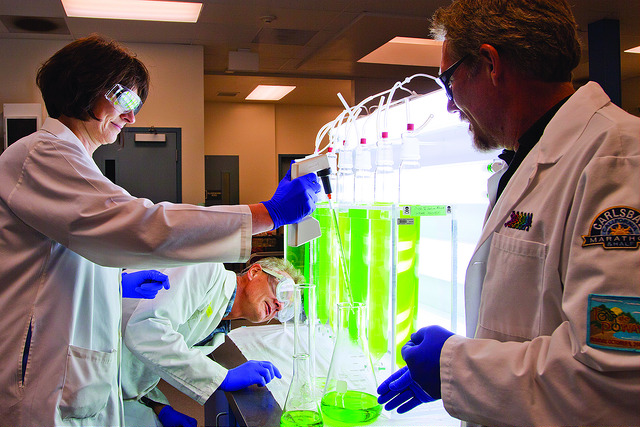 Lexaria Bioscience Corp (OTCMKTS:LXRP) Set To Make New Highs
