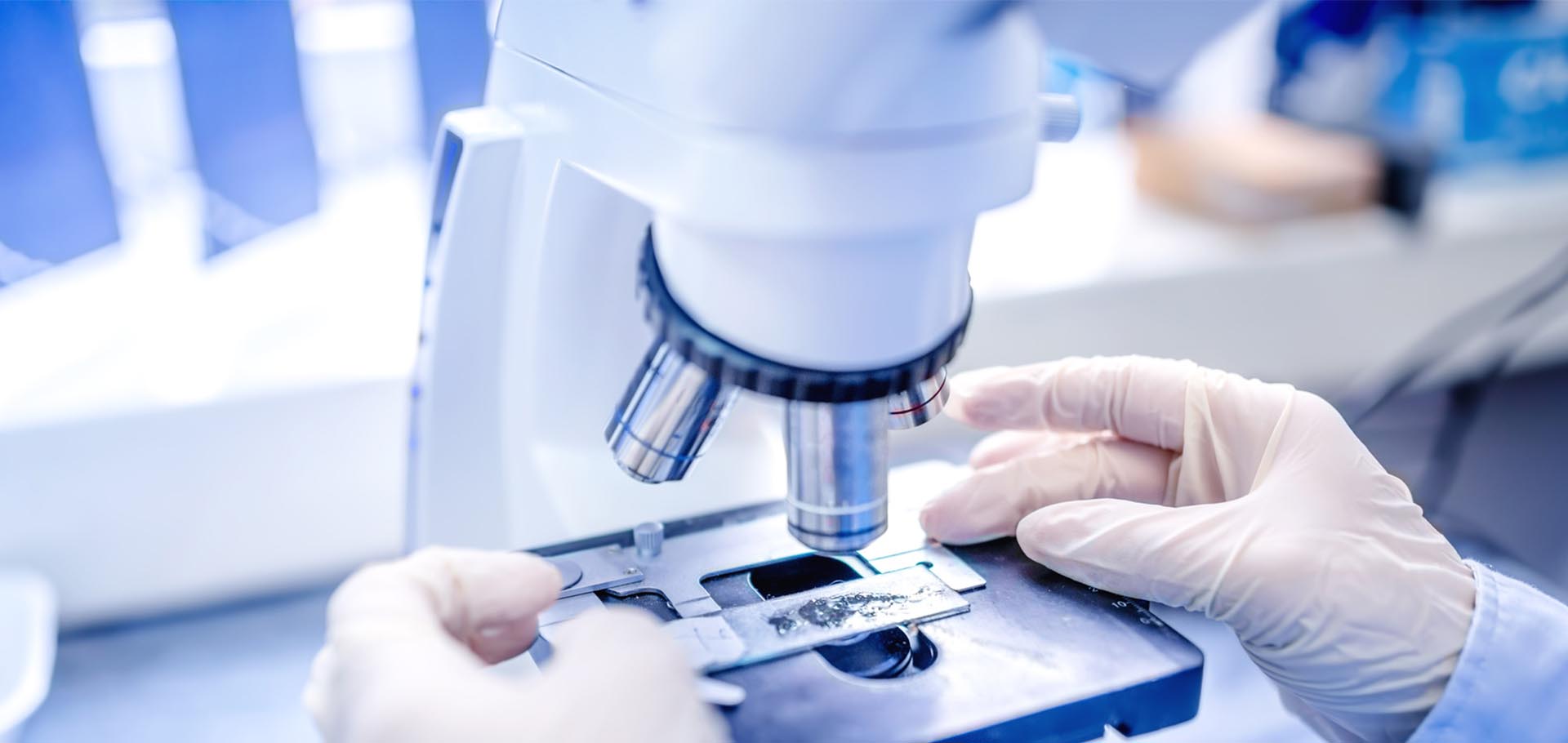 LEXINGTON BIOSCIEN (OTCMKTS:LXGTF) Curing The World One Heart At A Time