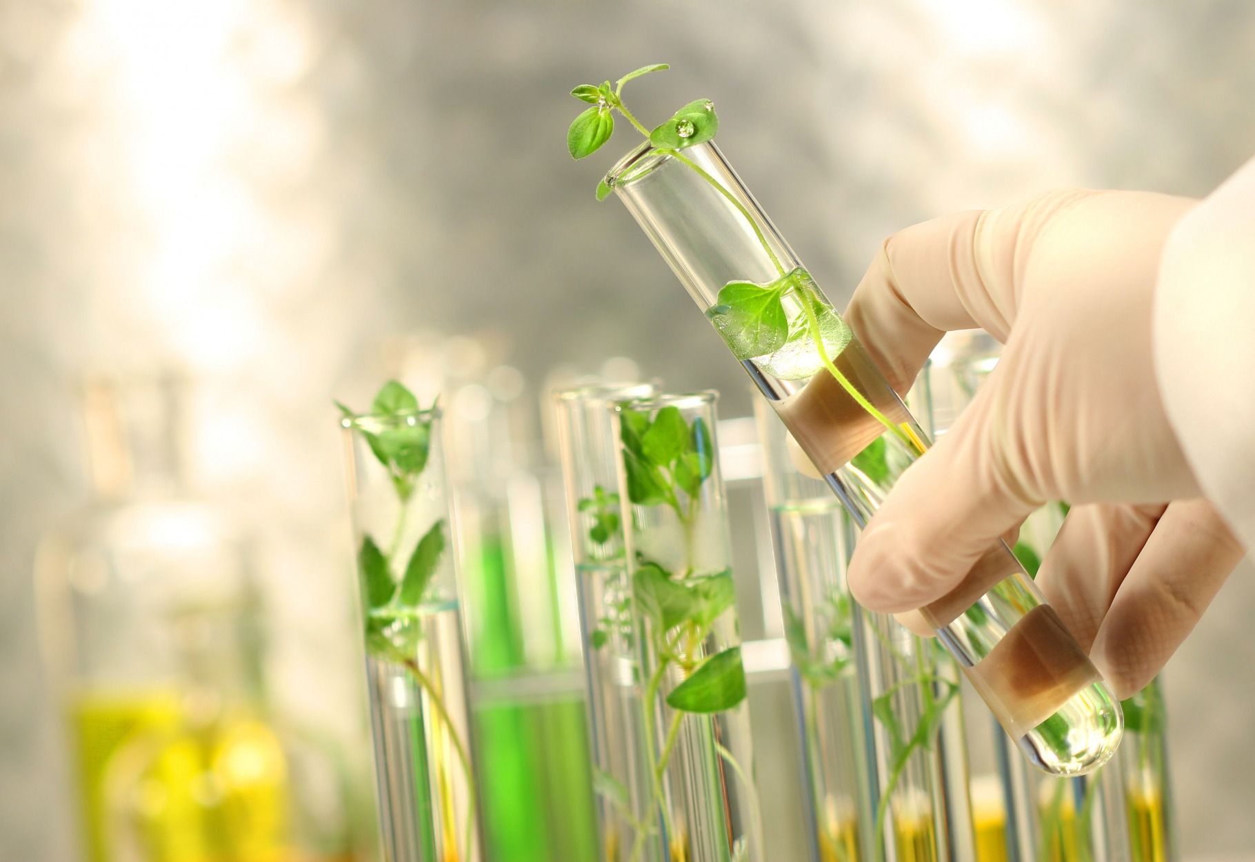 MARICANN GROUP INC (OTCMKTS:MRRCF): The Youngest Bull In Town