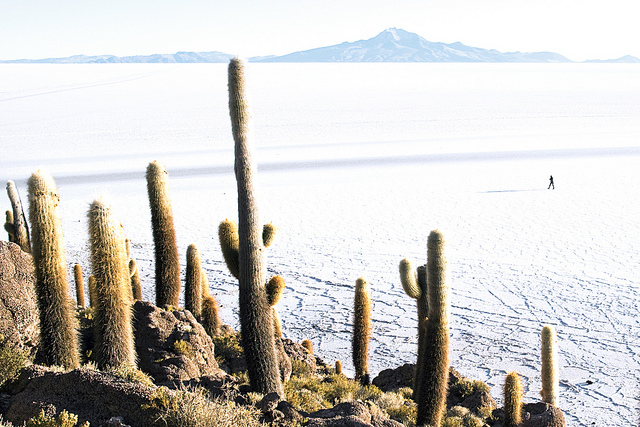 Orocobre Limited (OTCMKTS:OROCF) Is A Lithium Runner