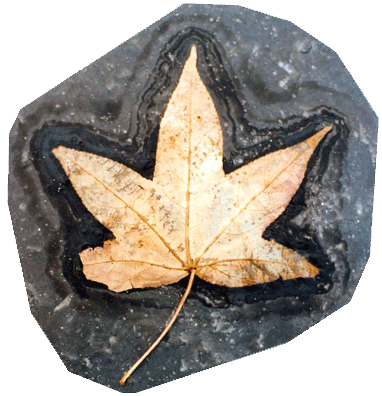 Rare Element Resources Ltd (OTCMKTS:REEMF) Has Smart Money Behind It