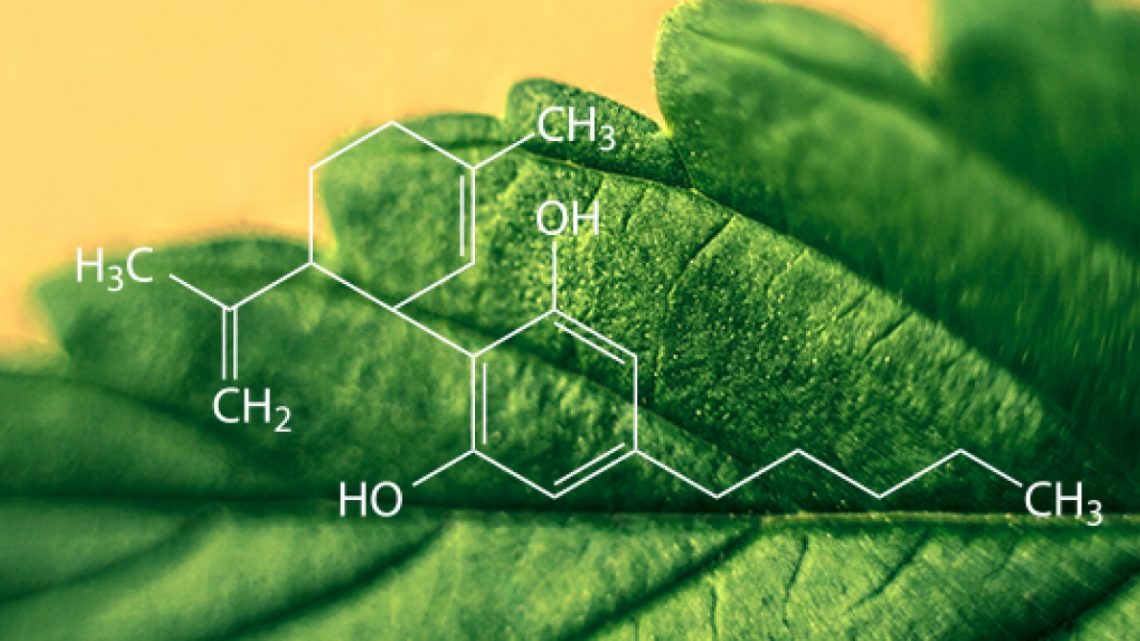 Time Is Ripe For Vitality Biopharma Inc (OTCMKTS:VBIO) Comeback