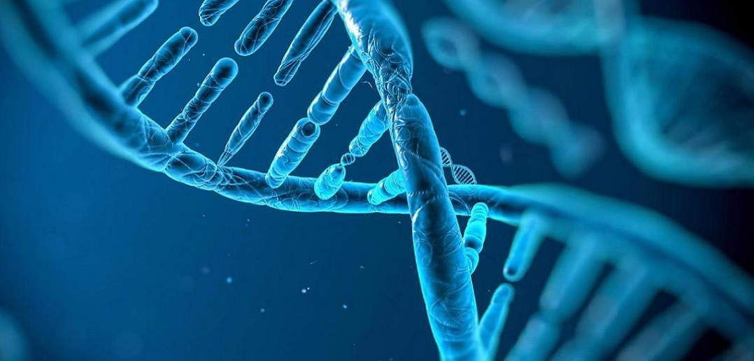 Oncolytics Biotech, Inc. (USA) (OTCMKTS:ONCYF) is a Winner in the Fight Against Cancer
