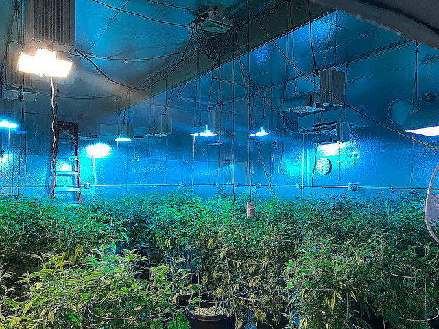 Grow Condos Inc (OTCMKTS:GRWC) Has Begun Bouncing Back