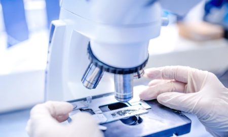 LEXINGTON BIOSCIEN (OTCMKTS:LXGTF) Venturing Into Fortune 500 Territory