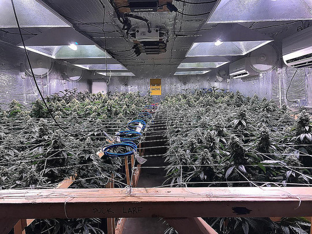 Future Farm Technologies Inc (OTCMKTS:FFRMF) Running Up The Charts