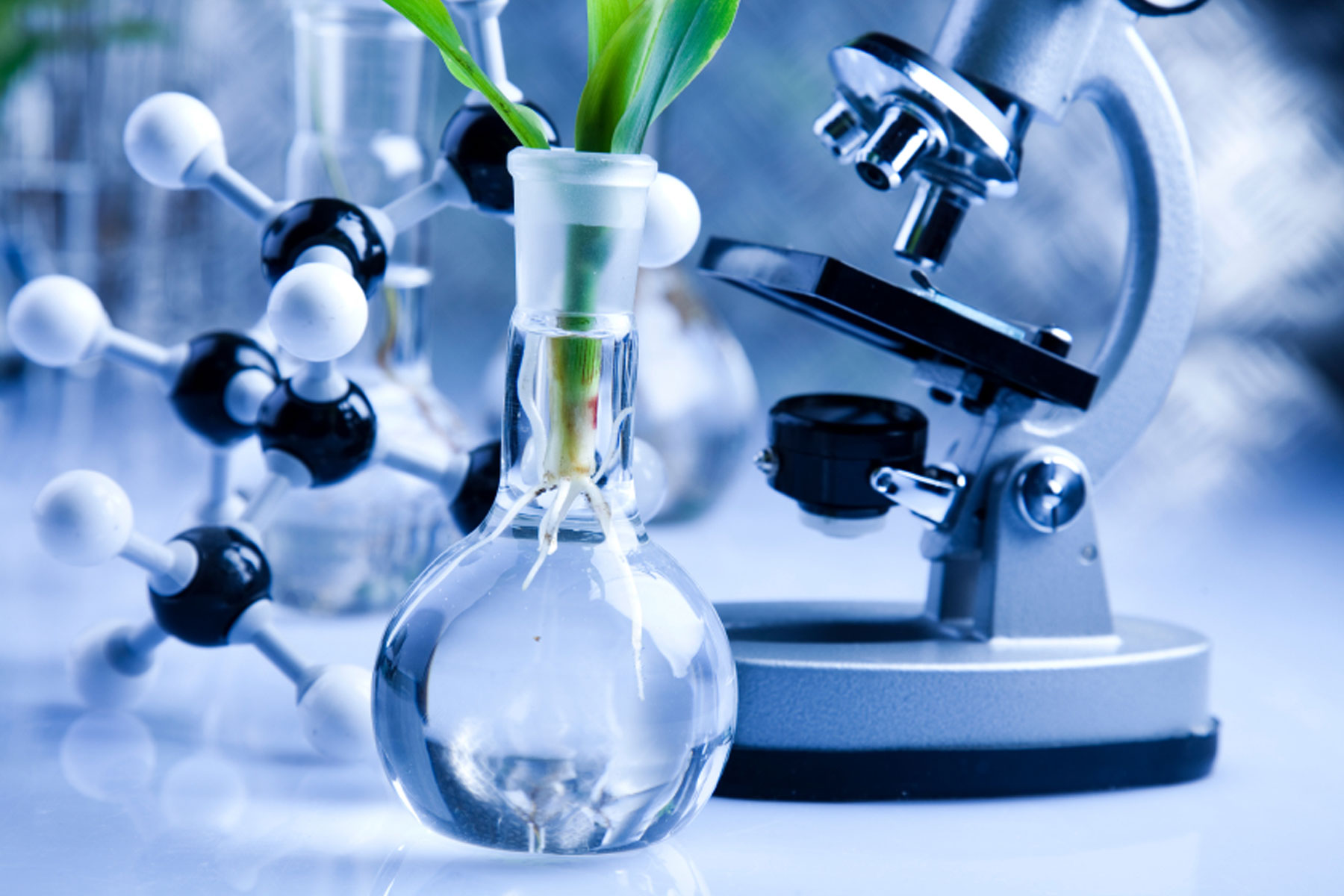 What's Next For AMARANTUS BIOSCIENCE HOLDINGS, INC. (OTCMKTS:AMBS) After 50% Pull Back?
