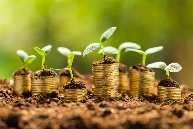 United American Healthcare Corp (OTCMKTS:UAHC) Is Proving Its Resilience