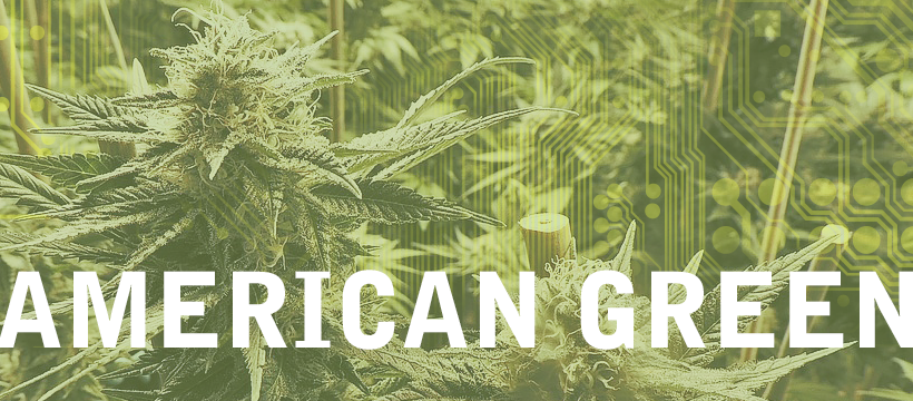 Shareholders of American Green Inc (OTCMKTS:ERBB) Are Now Proud Owners of Nipton Town