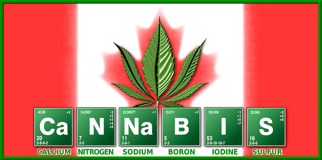 MAPLE LEAF GREEN W (OTCMKTS:MGWFF) Is Today's Cannabis Focus