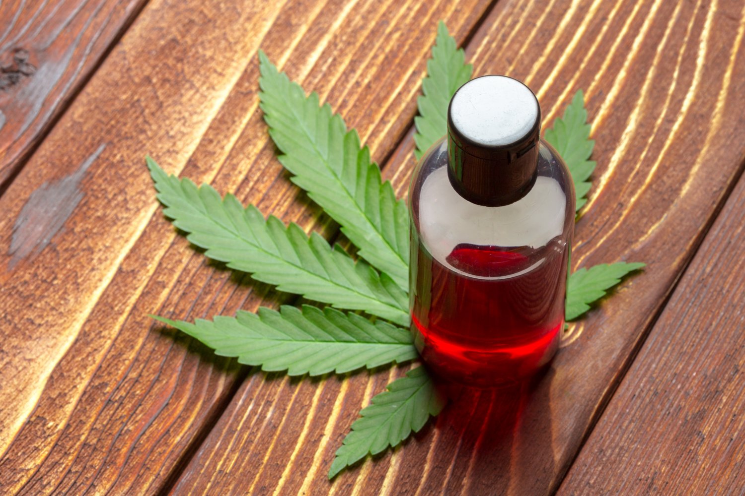 Freedom Leaf Inc (OTCMKTS:FRLF) Is The Model For Every Start Up To Follow