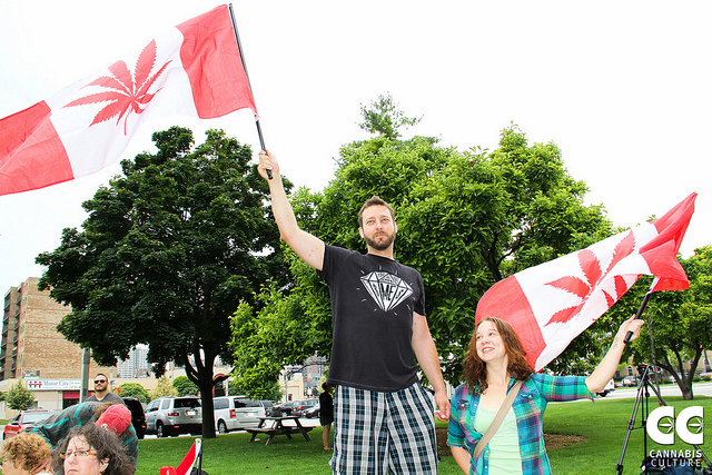 SUNNIVA INC (OTCMKTS:SNNVF): An Emerging Cannabis Player
