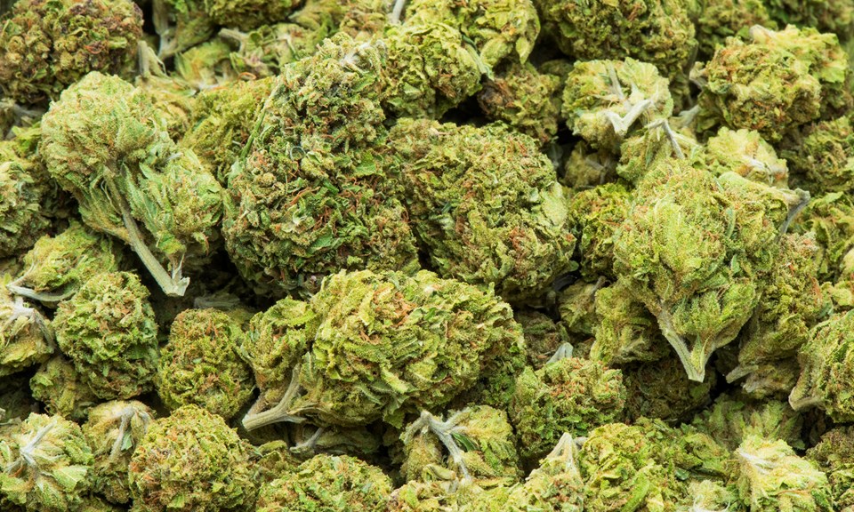GB Science Inc (OTCMKTS:GBLX) Has Created An All-Inflammation Treating Cannabinoid-Containing Drug